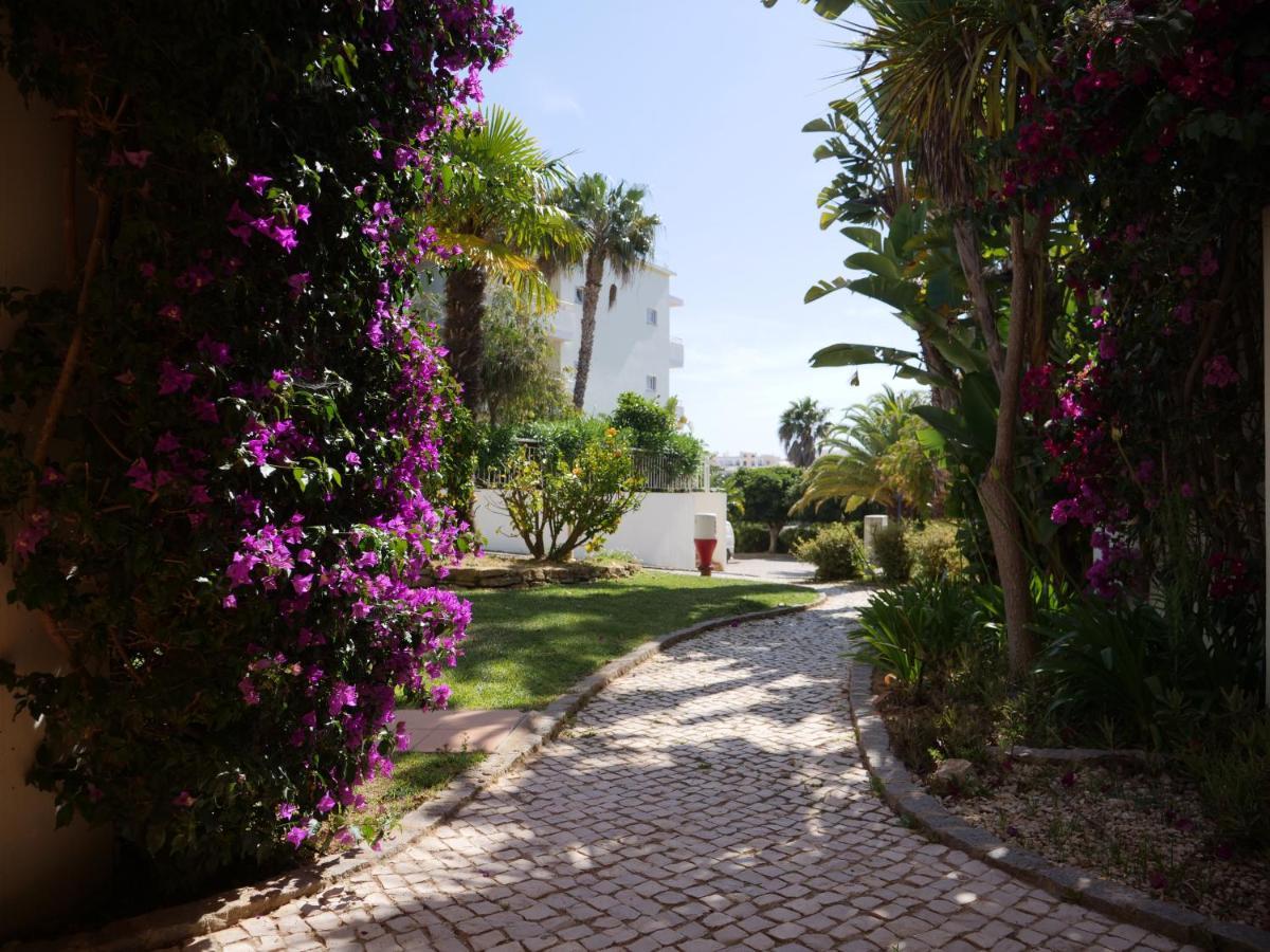 Apartment Spacious Near Porto De Mos Beach, Lagos. *